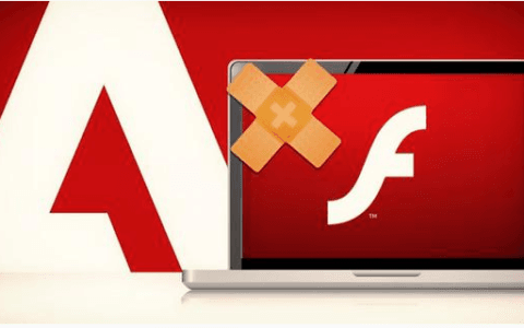 应对Adobe flash ActiveX中国特供版，特别版下载