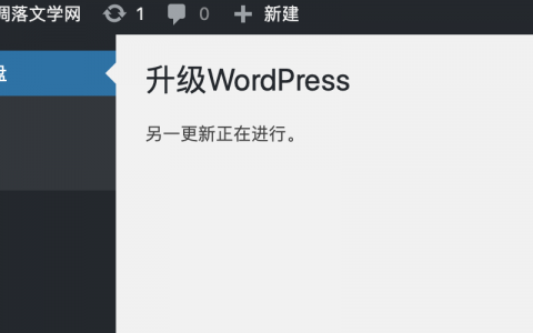 国内服务器升级Wordpress提示“另一更新正在进行”解决办法