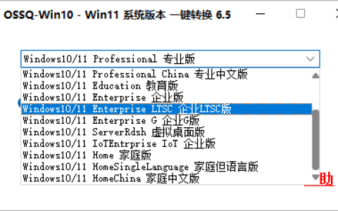 推荐一款好用的系统版本自由切换工具，专业版企业版自由切换