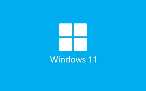 如何升级到 Windows 11 24H2 以及升级后的一些感受