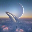 木子金金金的头像